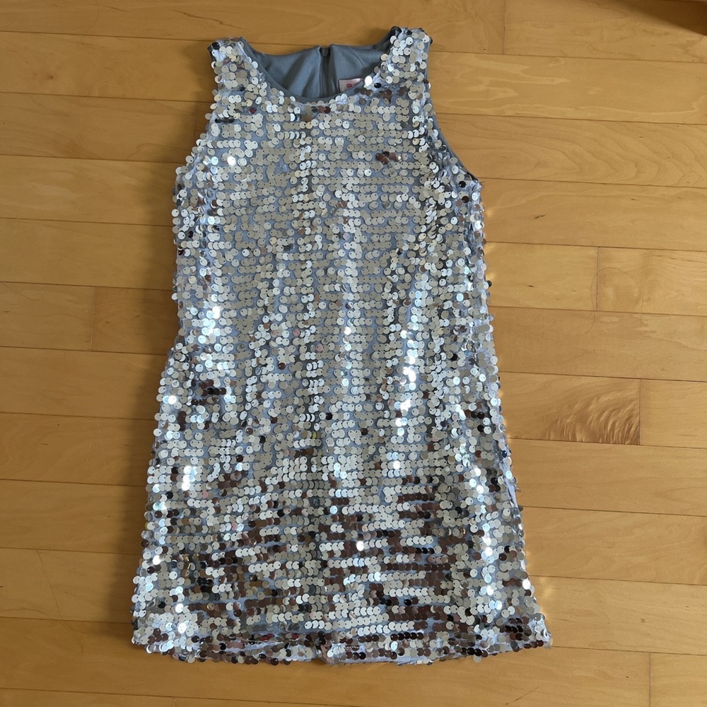 Silver Sparkly Dress
